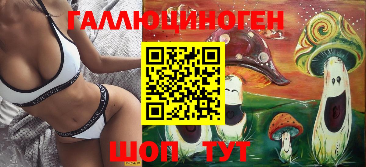 Гатчина  Псилоцибиновые грибы Magic Shrooms  Вход с VPN 